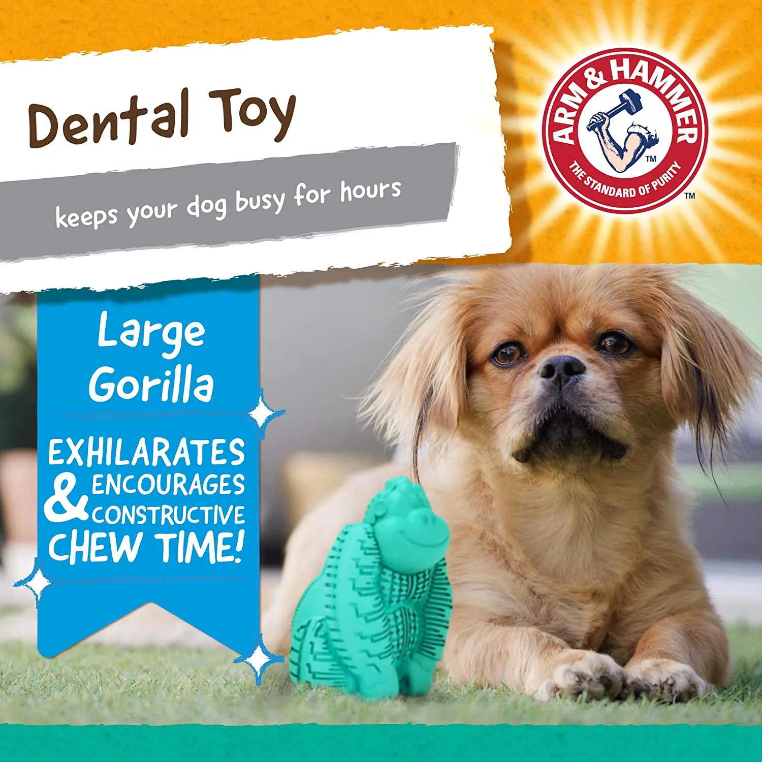 Arm & Hammer FFP8831ST Super Treadz Gorilla! Helps keep your dog’s teeth clean while he plays.
