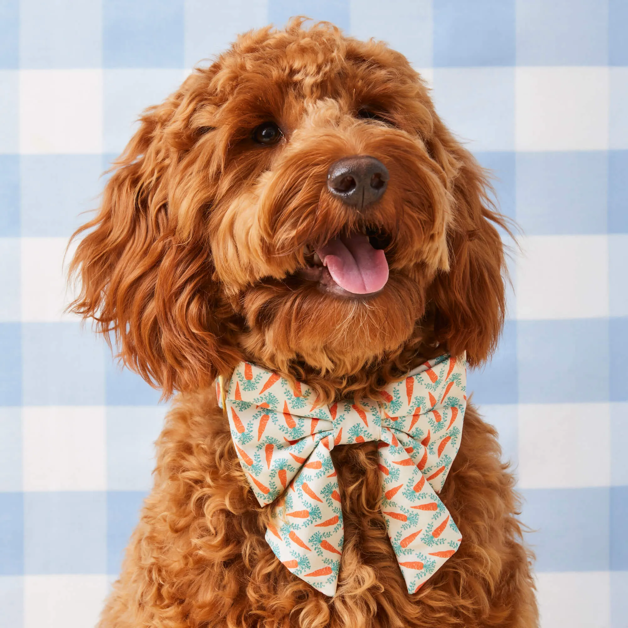 Carrot Patch Lady Dog Bow