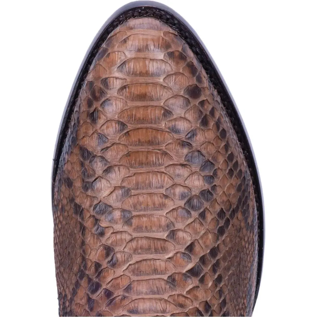 Dan Post Men’s Manning Python Boot DP3037