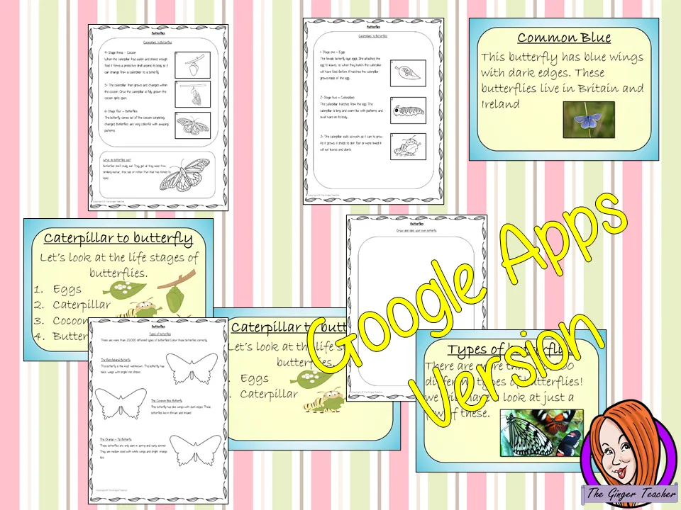 Distance Learning Butterflies Complete Google Slides Lesson