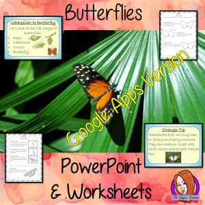 Distance Learning Butterflies Complete Google Slides Lesson