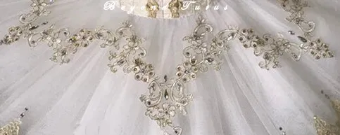 Gold Professional Tutu