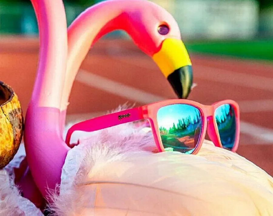 Goodr Sunglasses - OGS - The Originals - Flamingos On a Booze Cruise