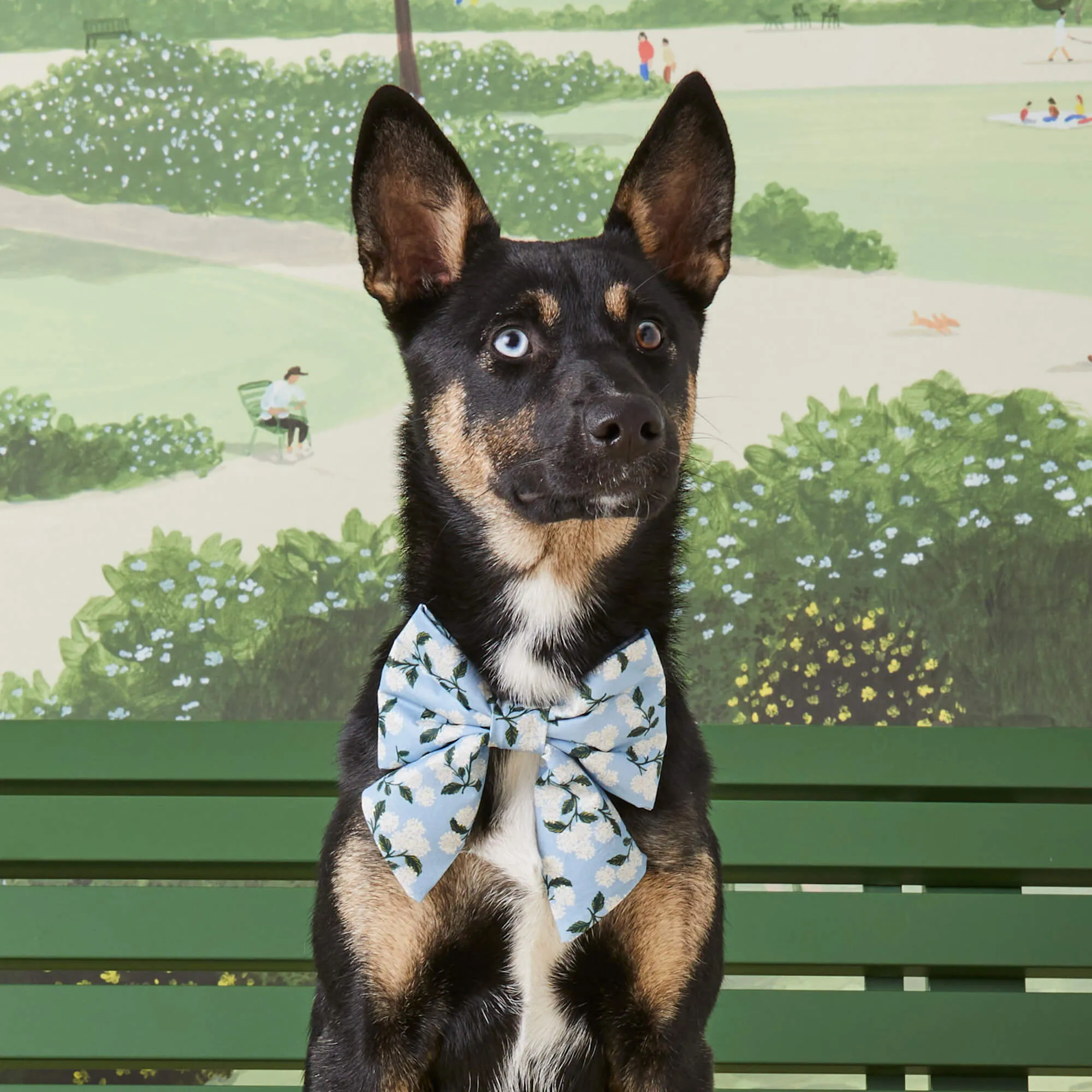 Rifle Paper Co. x TFD Hydrangea Lady Dog Bow
