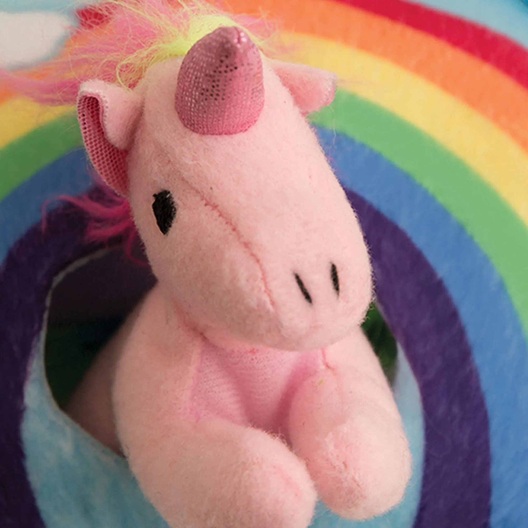 Snugarooz Hide & Seek Rainbow Dog Toy