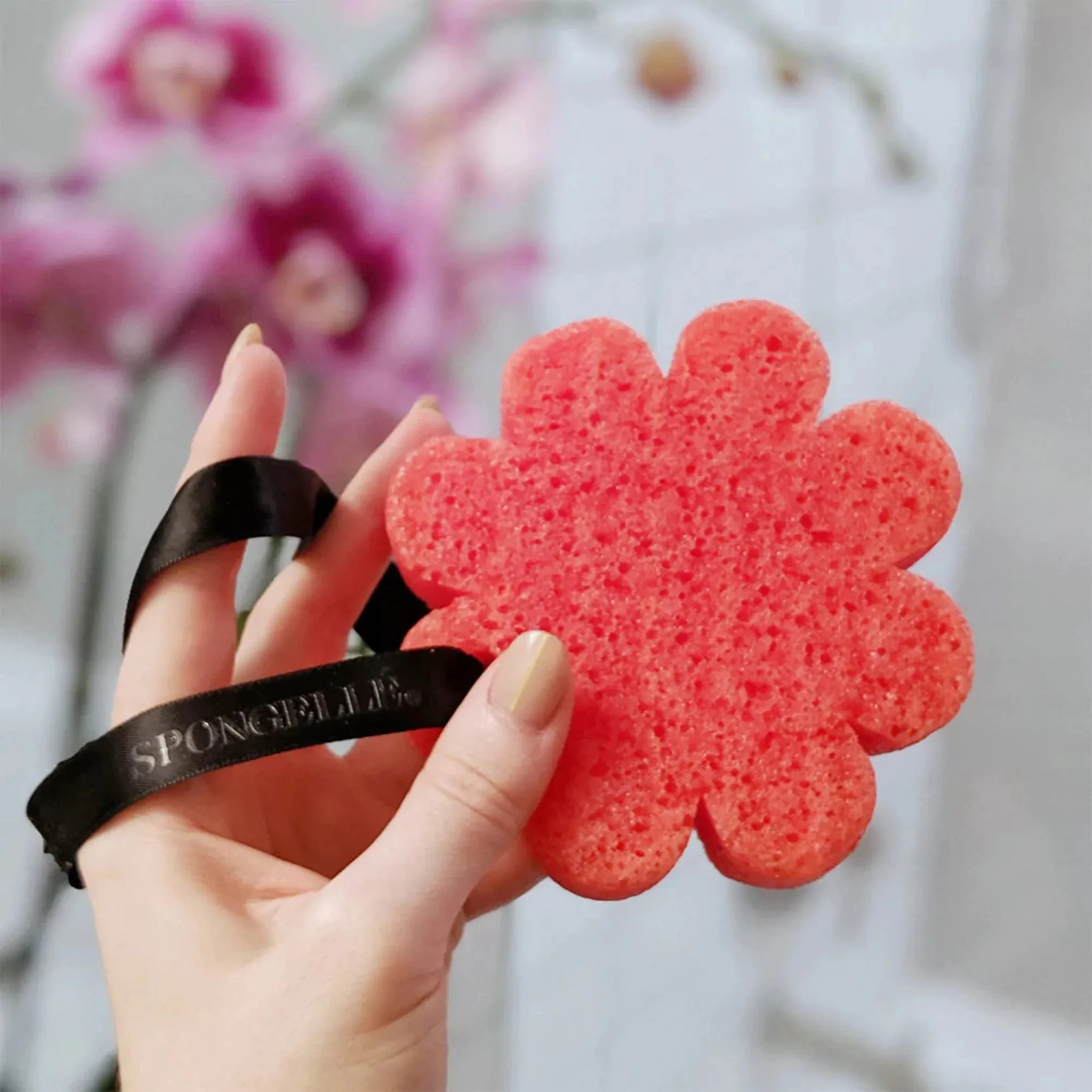 Spongelle Flower Sponge, Sugar Dahlia