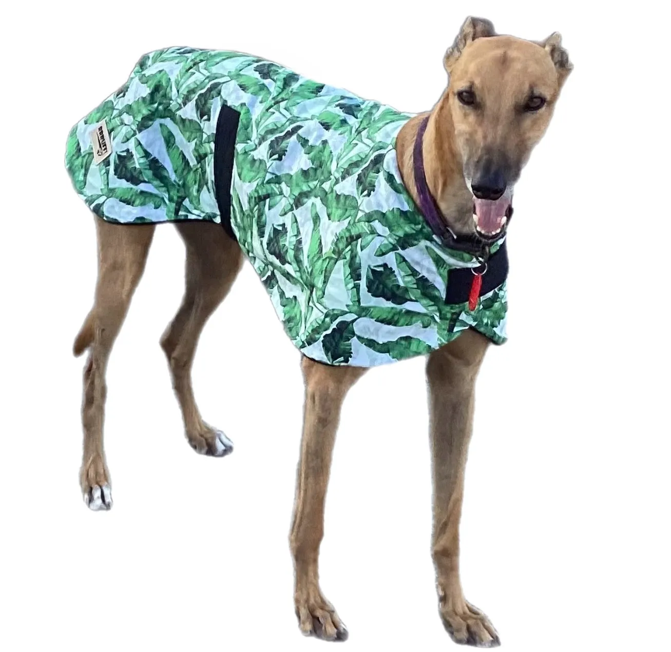 Wide Martingale collar summer fresh ‘banana leaves’ cotton 50mm width