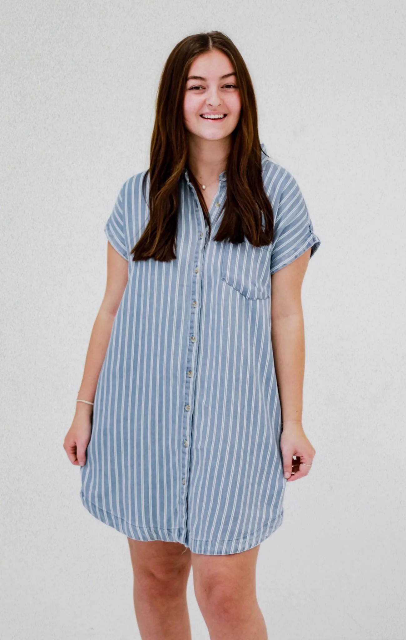 Willing to Dream Striped Denim Dress