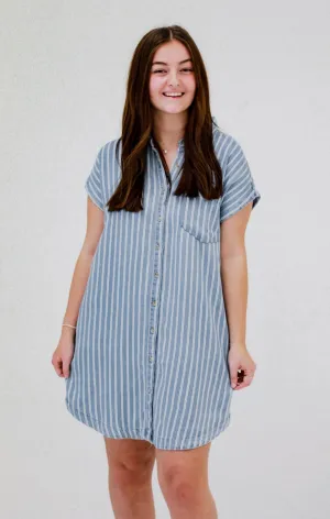 Willing to Dream Striped Denim Dress